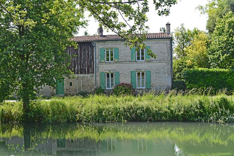 min 2025 06 08 Marais Poitevin 175